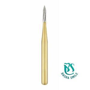 Cutter bur Microcopy